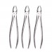 10PCS Dental Extraction Forceps Set Surgical Tooth Extracting For Adults Children Stainless Steel Pliers Zipper Leather Bag Packaging