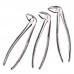 10PCS Dental Extraction Forceps Set Surgical Tooth Extracting For Adults Children Stainless Steel Pliers Zipper Leather Bag Packaging