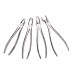 10PCS Dental Extraction Forceps Set Surgical Tooth Extracting For Adults Children Stainless Steel Pliers Zipper Leather Bag Packaging