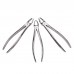 10PCS Dental Extraction Forceps Set Surgical Tooth Extracting For Adults Children Stainless Steel Pliers Zipper Leather Bag Packaging