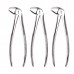 10PCS Dental Extraction Forceps Set Surgical Tooth Extracting For Adults Children Stainless Steel Pliers Zipper Leather Bag Packaging